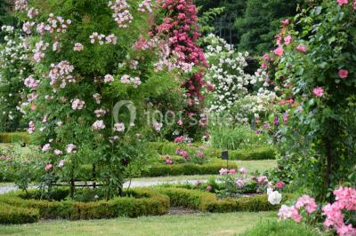 Miniature Location salle Fontaine-Chaalis (Oise) - Domaine de Chaalis #23 Intérieur d'une chapelle gothique avec des vitraux colorés, des voûtes ornées et des peintures murales détaillées.