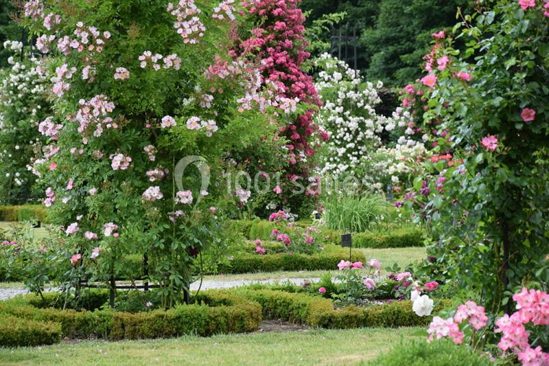 Jardin fleuri avec des rosiers grimpants roses et blancs, entourés de haies et de pelouses bien entretenues.