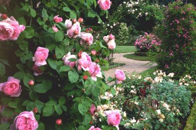 Miniature Location salle Fontaine-Chaalis (Oise) - Domaine de Chaalis #22 Intérieur d'une chapelle gothique avec des vitraux colorés, des voûtes ornées et des peintures murales détaillées.