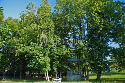Domaine Des Tilleuls - photo 3
