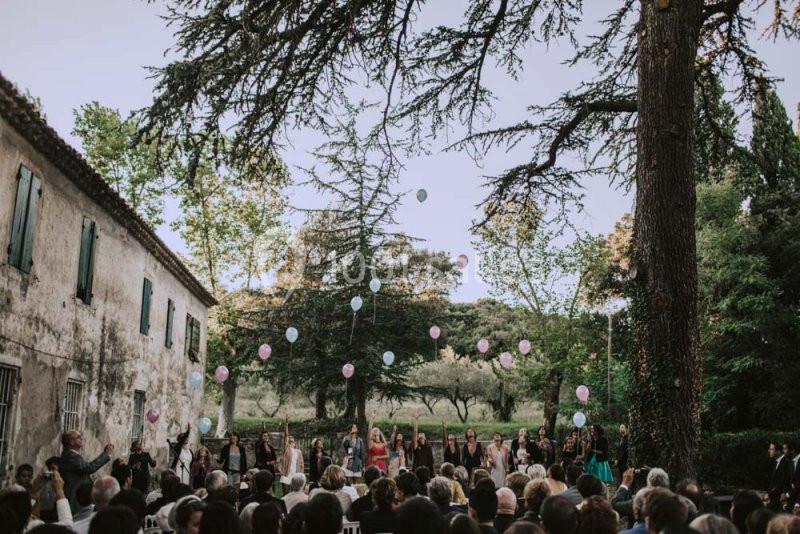 Cérémonie en plein air avec des invités assis et des ballons colorés flottant sous de grands arbres.