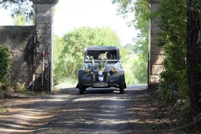 Miniature Location salle Montagnac (Hérault) - Domaine de la Grangette #3 Tente en toile beige installée sur un sol gravillonné, entourée d'arbres, avec des lits aménagés à l'intérieur.