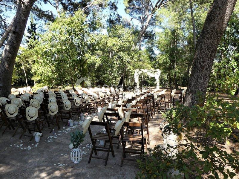 Chaises en bois alignées en extérieur sous les arbres, décorées pour une cérémonie avec une arche blanche en arrière-plan.