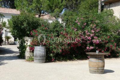 Miniature Location salle Montagnac (Hérault) - Domaine de la Grangette #4 Tente en toile beige installée sur un sol gravillonné, entourée d'arbres, avec des lits aménagés à l'intérieur.