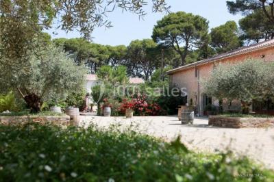 Domaine de la Grangette Domaine de la Grangette