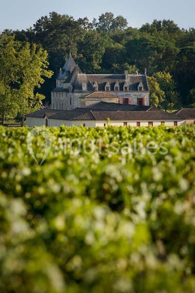 Location salle Léognan (Gironde) - Château Olivier #8