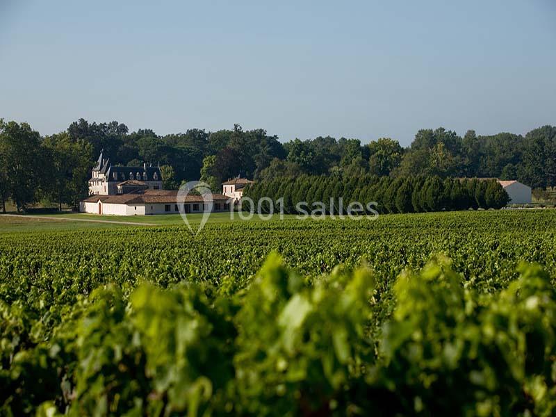 Château Olivier - galerie - photo 2