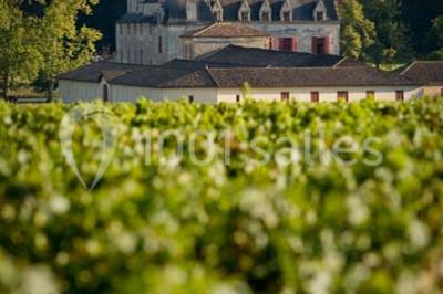 Château Olivier - photo 3