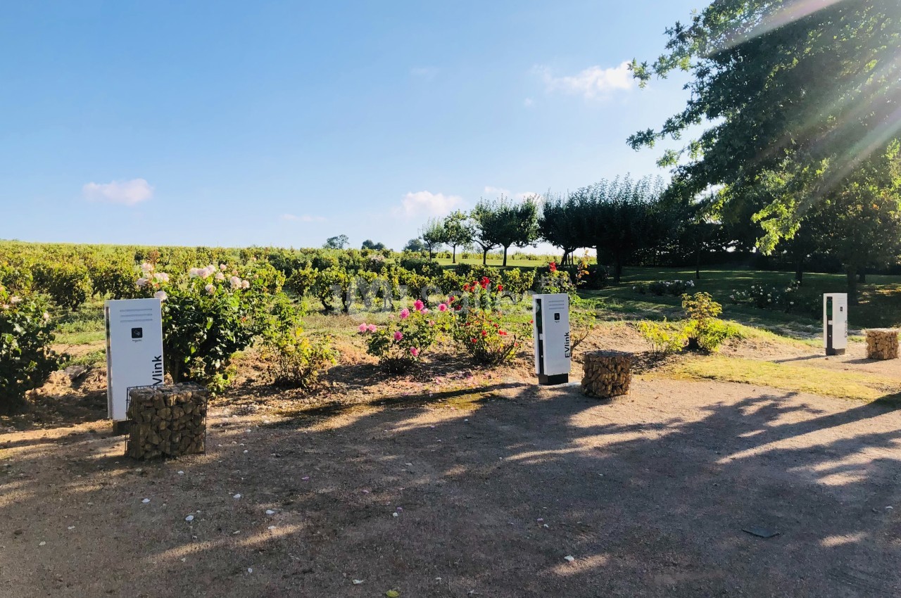 Bornes de recharge électrique installées dans un jardin paysager entouré de vignes et de fleurs.