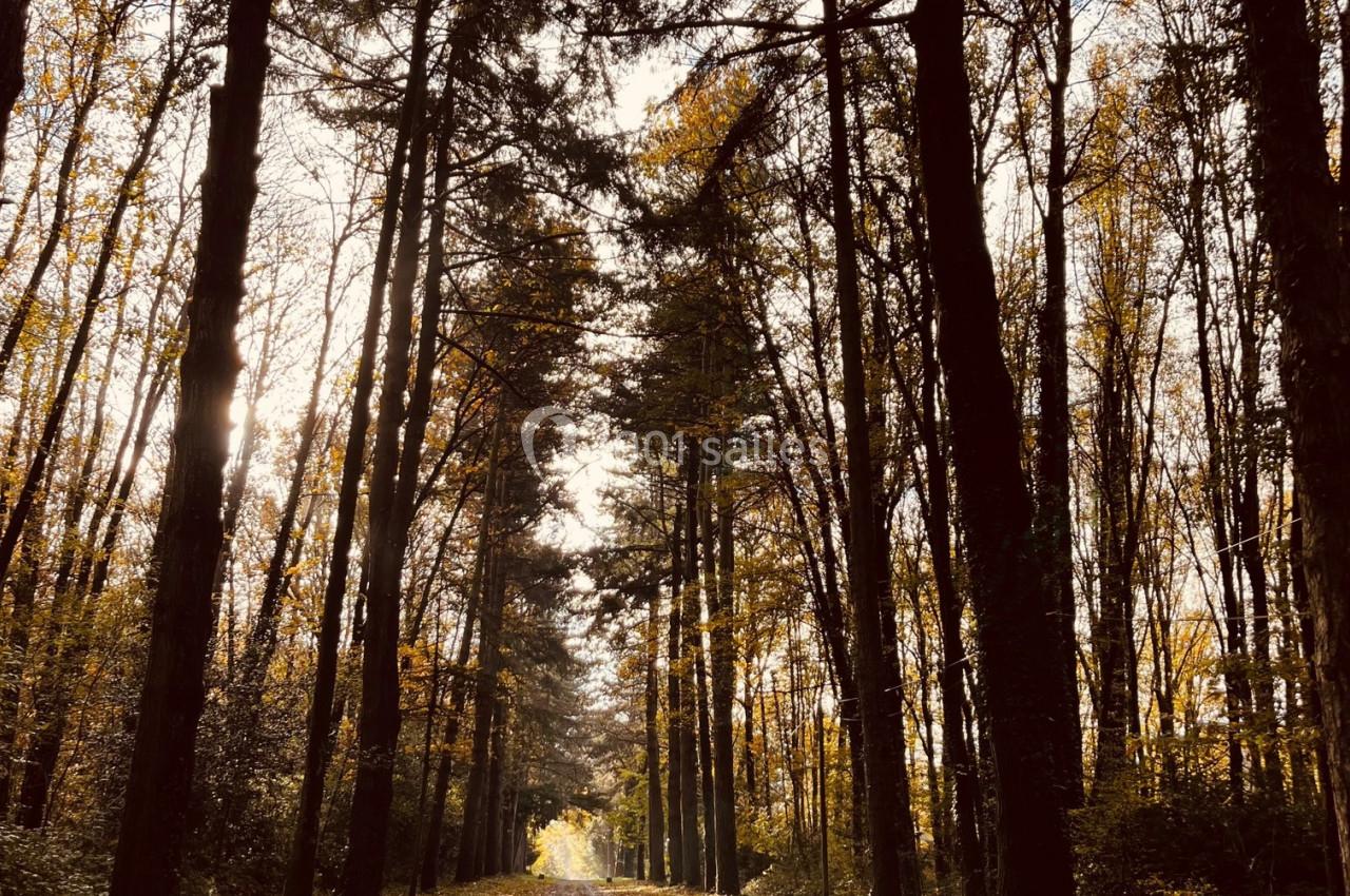 Location salle Le Pin-en-Mauges (Maine-et-Loire) - Domaine de la Jousselinière #12
