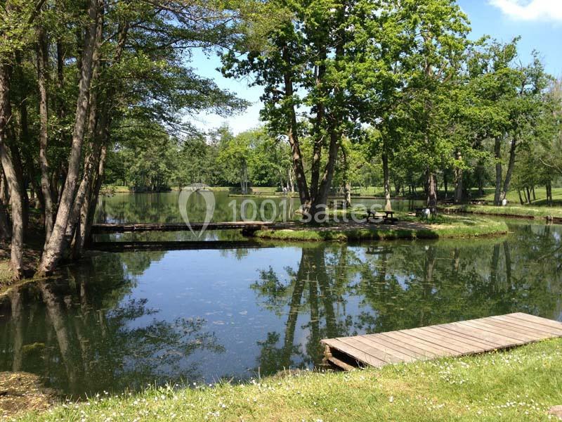 Les Etangs De La Palombière - galerie - photo 2