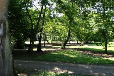 Les Etangs De La Palombière - photo 2