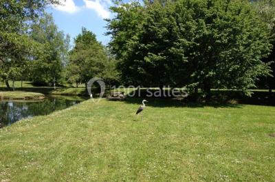 Les Etangs De La Palombière - photo 5