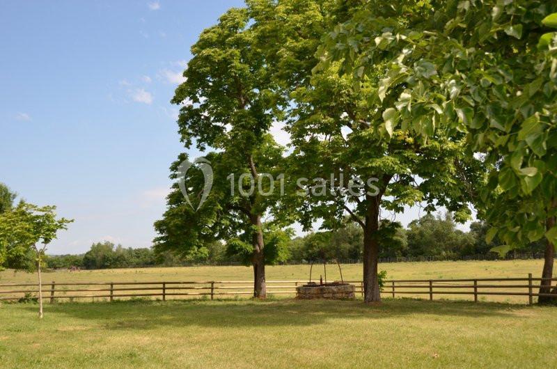 Deux grands arbres ombragent un puits en pierre dans un champ entouré d'une clôture en bois.