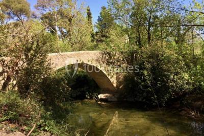 Miniature Location salle Le Crès (Hérault) - Domaine du Mas du Pont #27 Un couple en tenue de mariage pose devant un groupe de cavaliers alignés sur des chevaux dans un espace verdoyant.