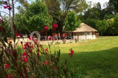Miniature Location salle Le Crès (Hérault) - Domaine du Mas du Pont #2 Un couple en tenue de mariage pose devant un groupe de cavaliers alignés sur des chevaux dans un espace verdoyant.