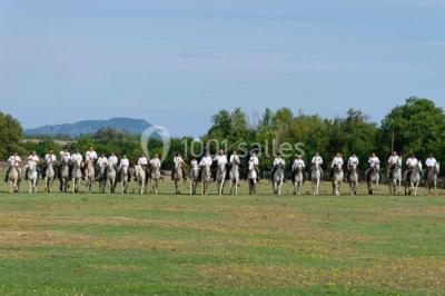 Miniature Location salle Le Crès (Hérault) - Domaine du Mas du Pont #23 Un couple en tenue de mariage pose devant un groupe de cavaliers alignés sur des chevaux dans un espace verdoyant.