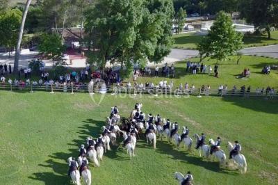 Miniature Location salle Le Crès (Hérault) - Domaine du Mas du Pont #9 Un couple en tenue de mariage pose devant un groupe de cavaliers alignés sur des chevaux dans un espace verdoyant.