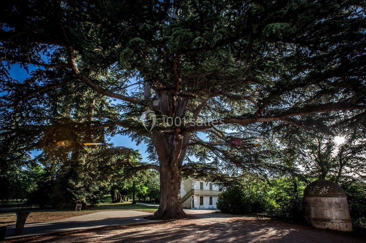 Château De La Pouyade - galerie - photo 10