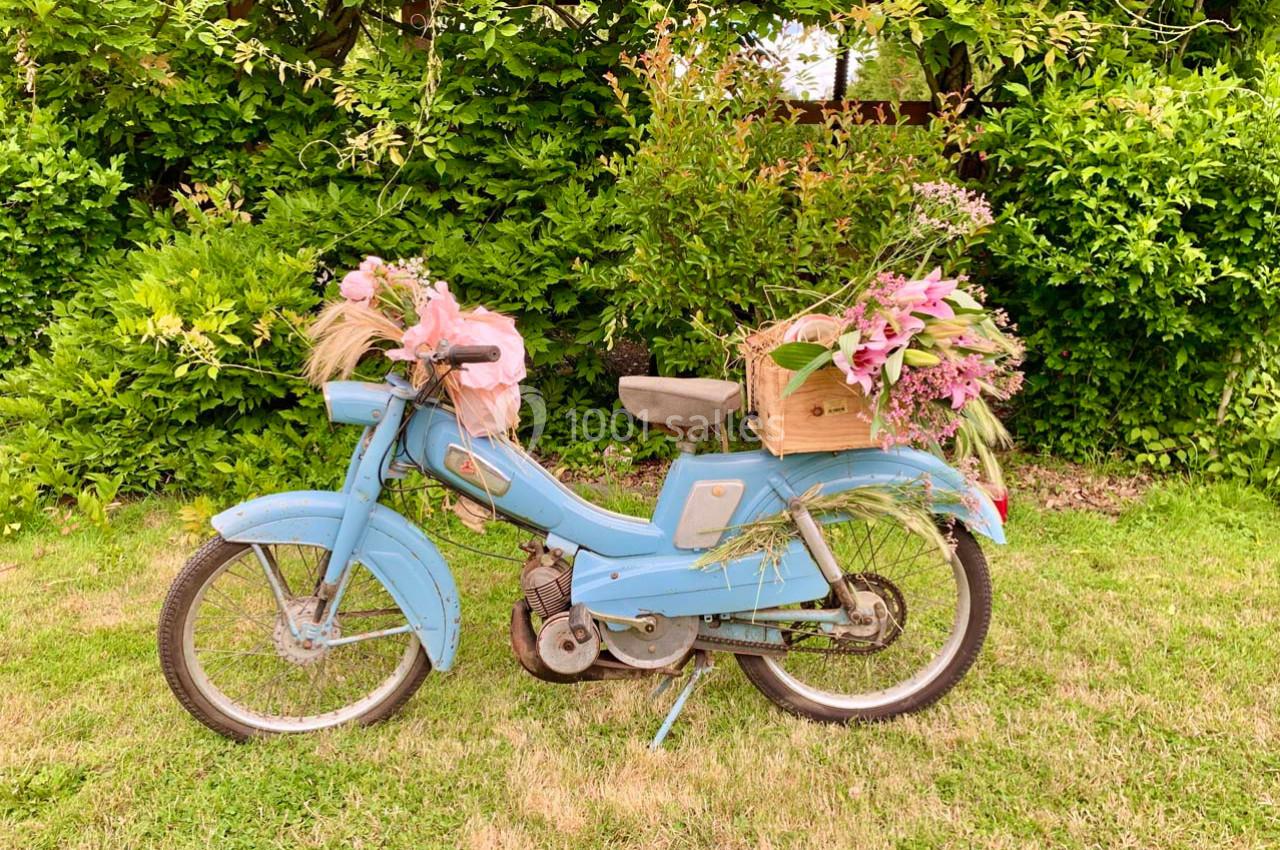 Une mobylette bleue ancienne décorée de fleurs roses et violettes, stationnée sur une pelouse devant des arbustes verts.