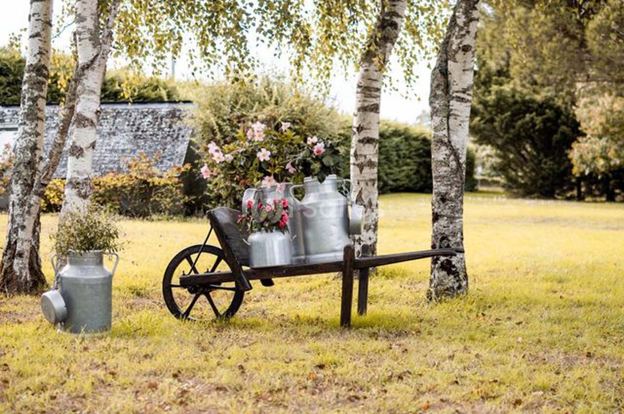 Brouette en bois avec des pots en métal et des fleurs, posée sur une pelouse entourée de bouleaux.