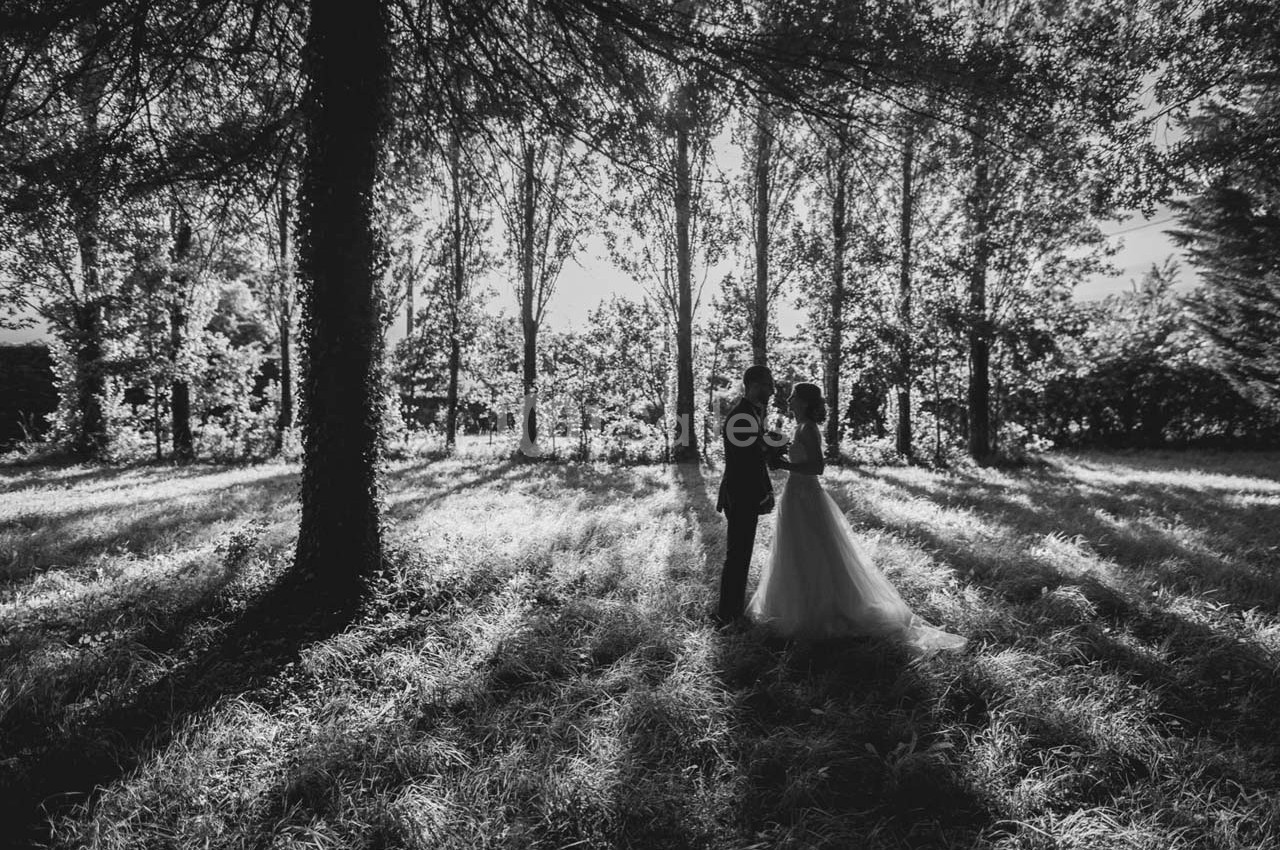 Un couple se tient debout dans une clairière boisée, éclairée par une lumière douce à travers les arbres.