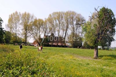 Location salle Marcq-en-Baroeul (Nord) - Auberge De La Garenne #24