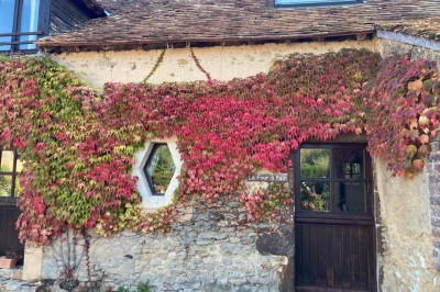 Domaine de la Petite Chauvière - photo 5