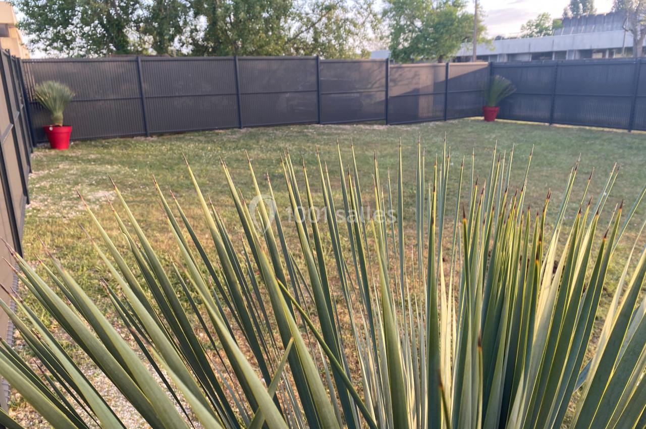 Vue d'un jardin clôturé avec une pelouse, des plantes en pot rouge et un premier plan de feuilles de yucca.