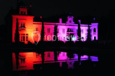 Château De Brillac - photo 2