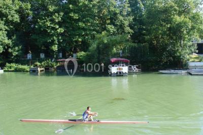 Jardin avec pelouse, tables et chaises rouges, scène en bois, entouré d'arbres et d'une maison à colombages.