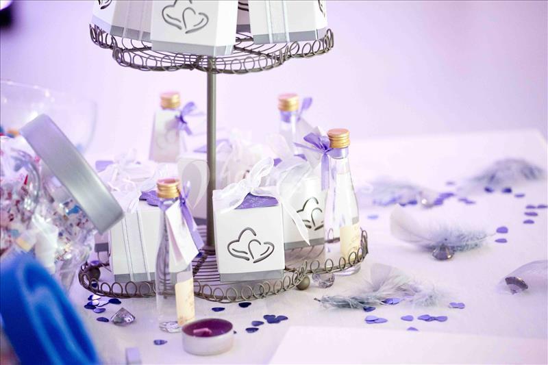 Location salle Fresnes (Val-de-Marne) - Salon Tiger #7