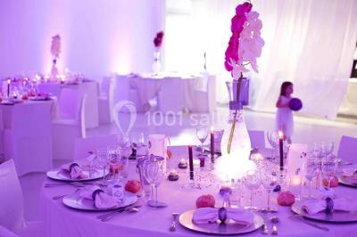 Location salle Fresnes (Val-de-Marne) - Salon Tiger #11