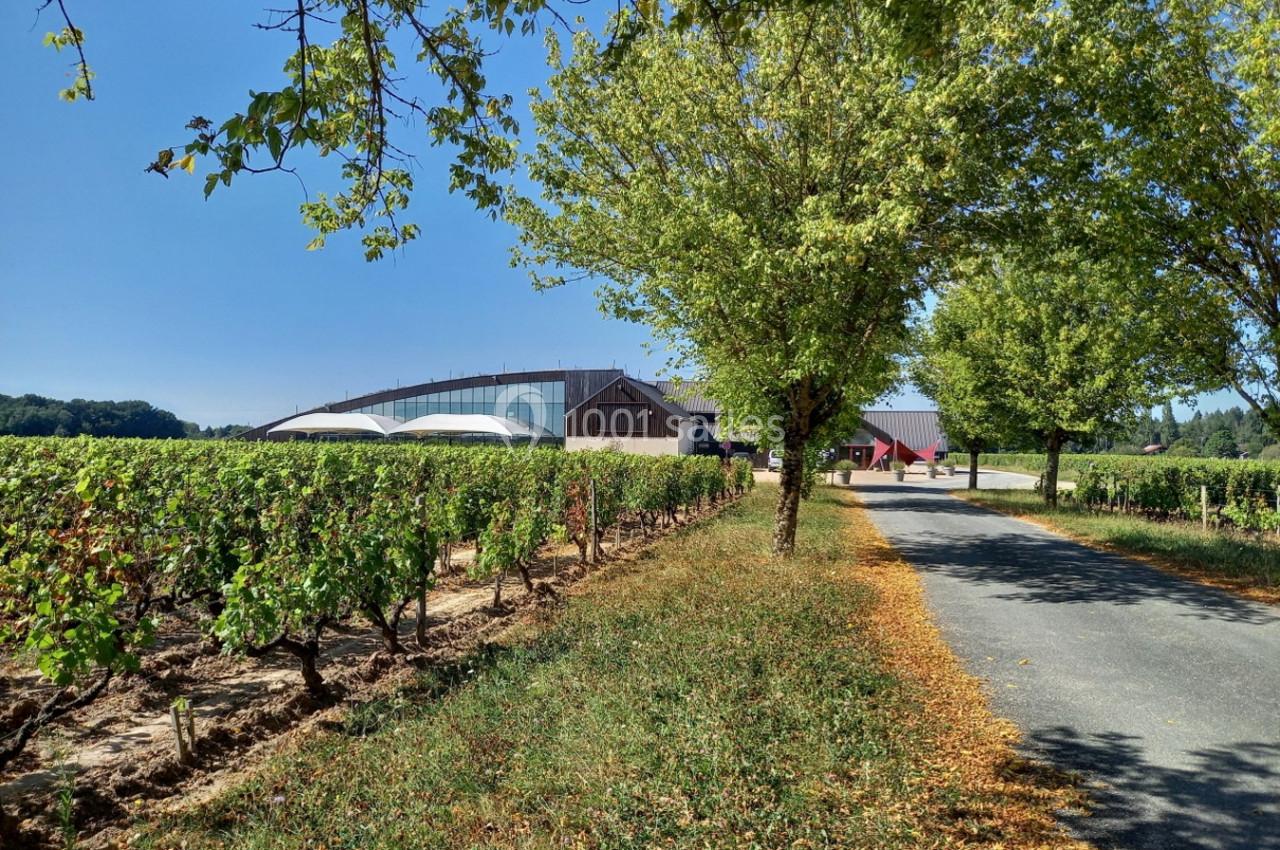 Vignes bordant une route de campagne, avec un bâtiment moderne en arrière-plan sous un ciel dégagé.