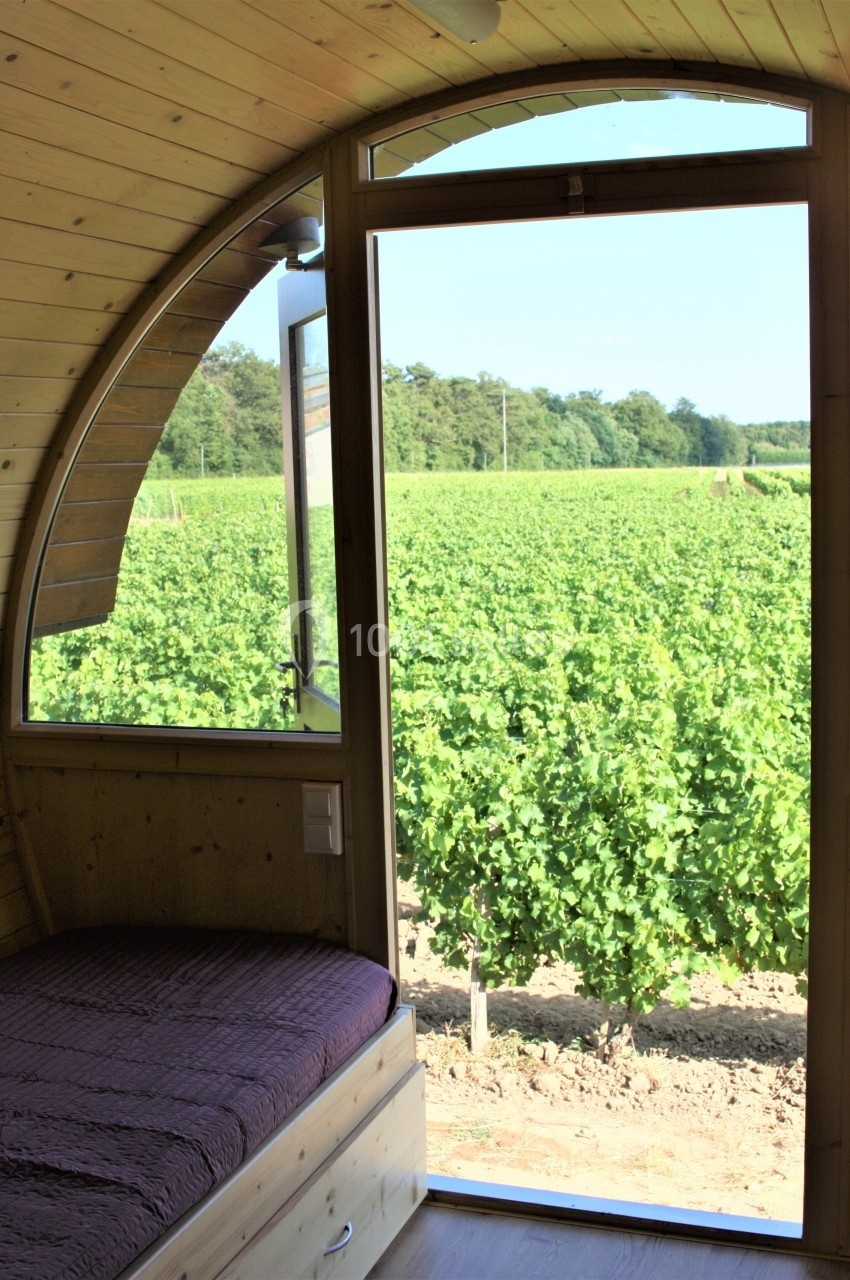 Vue sur un vignoble verdoyant depuis l'intérieur d'une cabane en bois avec une fenêtre ouverte.