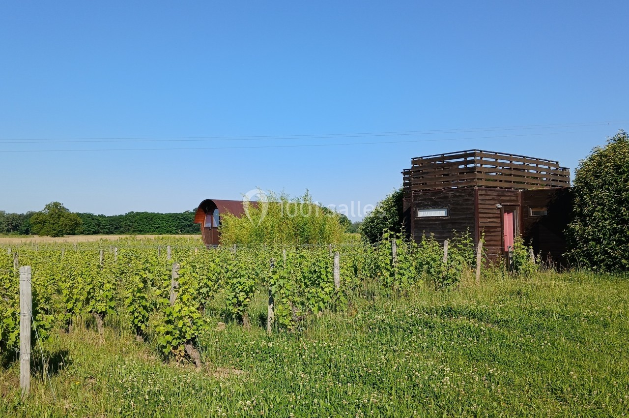 Deux cabanes en bois entourées de vignes et de verdure sous un ciel bleu dégagé.