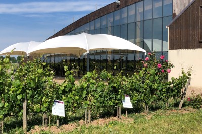 Domaine La Porte Dorée - photo 4