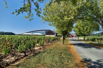 Domaine La Porte Dorée - photo 1