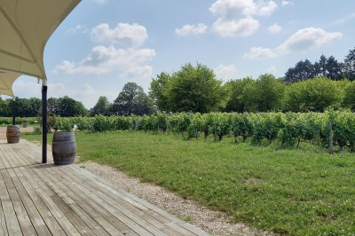 Domaine La Porte Dorée - photo 2