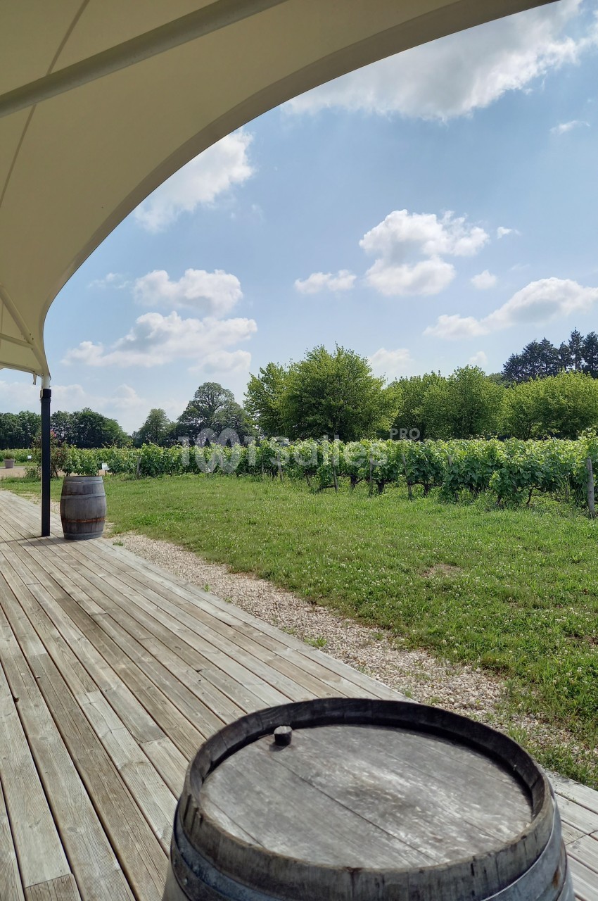 Terrasse en bois avec tonneaux, vue sur des vignes verdoyantes sous un ciel bleu parsemé de nuages.