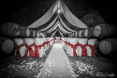 Location salle Chasselas (Saône-et-Loire) - Château de Chasselas #22