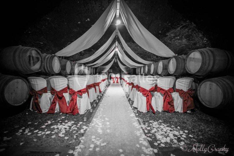 Location salle Chasselas (Saône-et-Loire) - Château de Chasselas #18