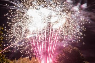 Location salle Chasselas (Saône-et-Loire) - Château de Chasselas #22