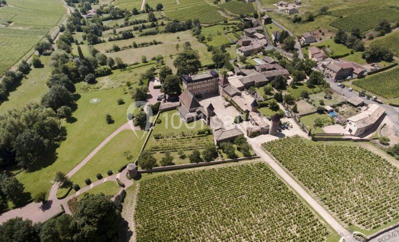 Location salle Chasselas (Saône-et-Loire) - Château de Chasselas #5