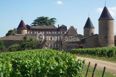 Location salle Chasselas (Saône-et-Loire) - Château de Chasselas #22
