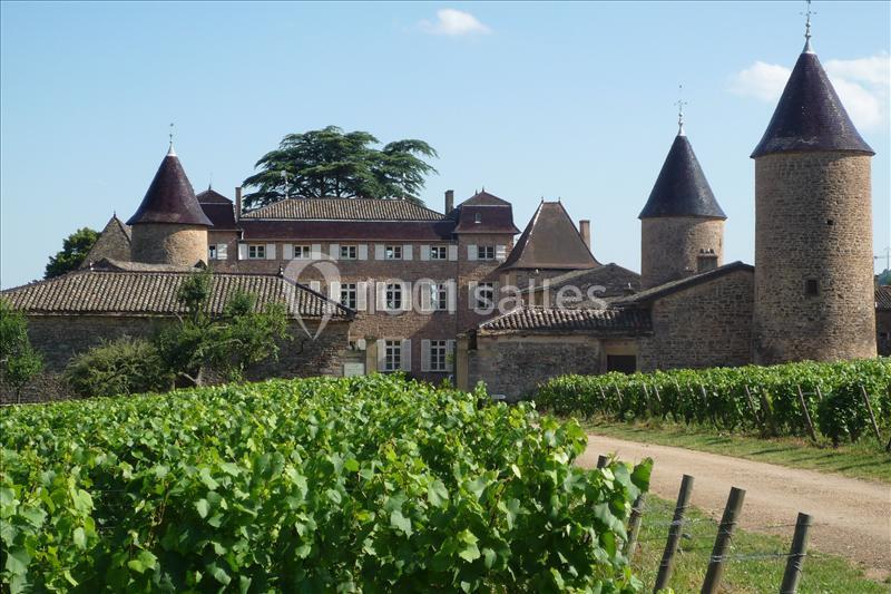 Location salle Chasselas (Saône-et-Loire) - Château de Chasselas #7