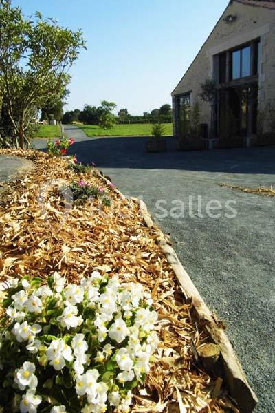 Massif de fleurs blanches bordant une allée en gravier menant à une maison en pierre sous un ciel dégagé.