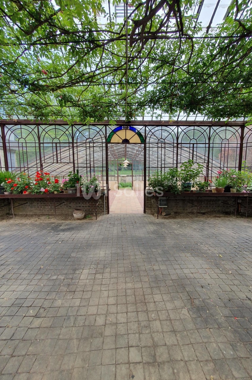 Serre avec structure métallique, plantes en pots alignées et allée centrale menant à une porte ouverte.