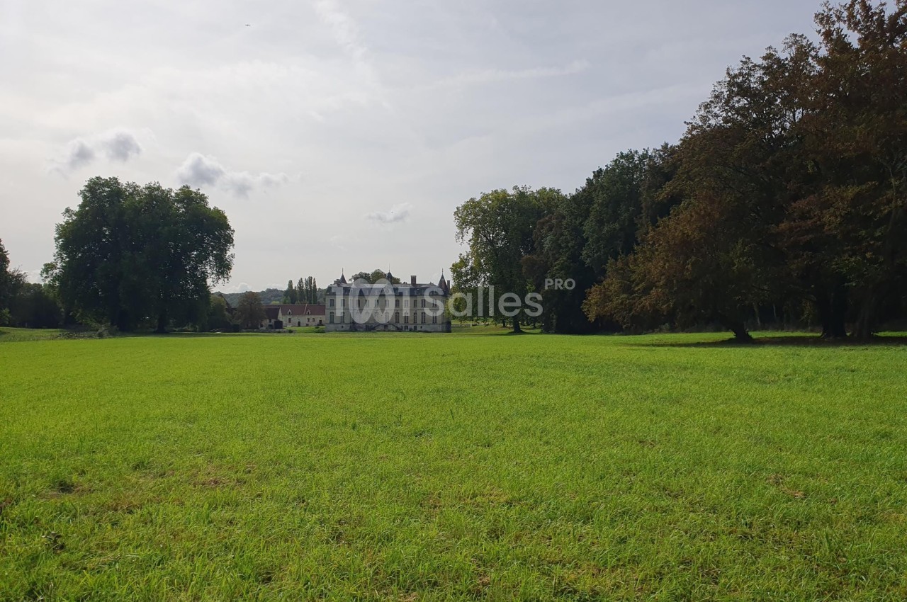 Château entouré d'arbres au loin, visible depuis une vaste prairie verdoyante sous un ciel légèrement nuageux.