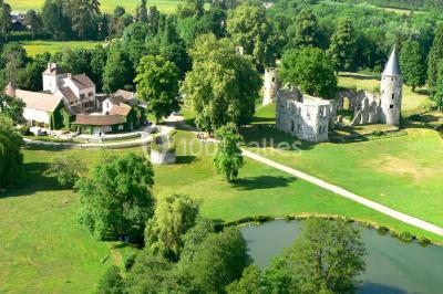 Château du Vivier - photo 3